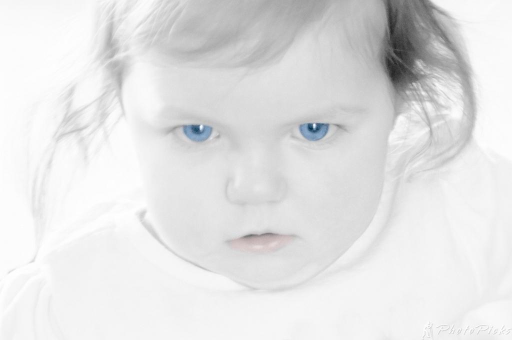 Bryn Nightingale Shoot